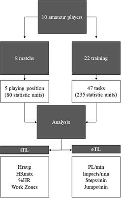 Training and Competition Load Monitoring and Analysis of Women's Amateur Basketball by Playing Position: Approach Study